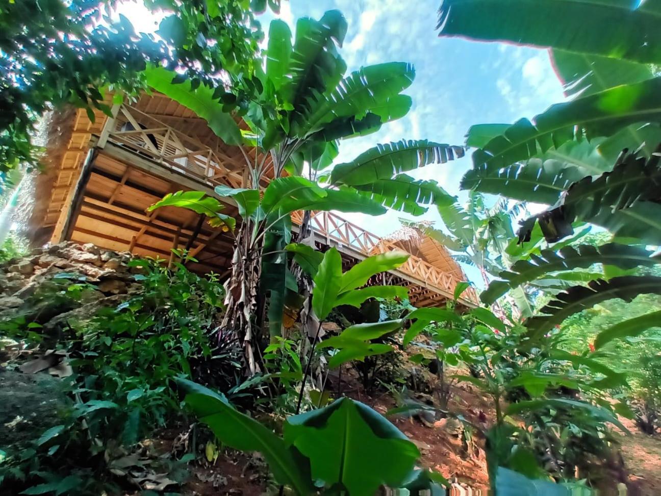 Samo Eco Lodge Лас-Терренас Екстер'єр фото